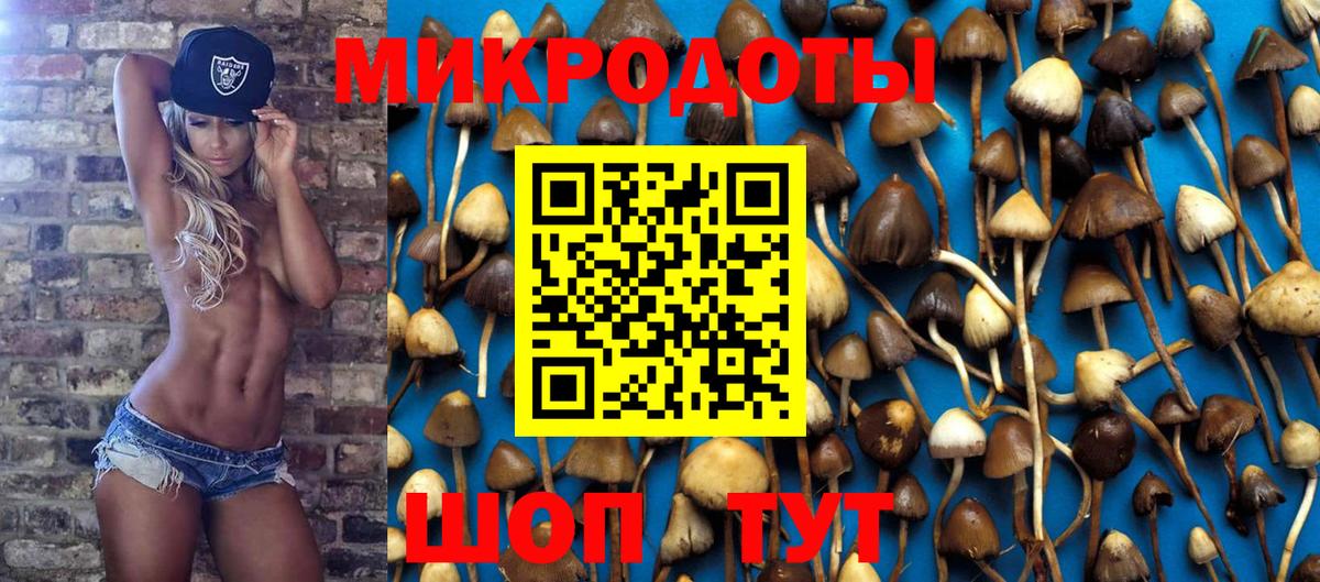 Белая Калитва  Псилоцибиновые грибы GOLDEN TEACHER  Вход с VPN 